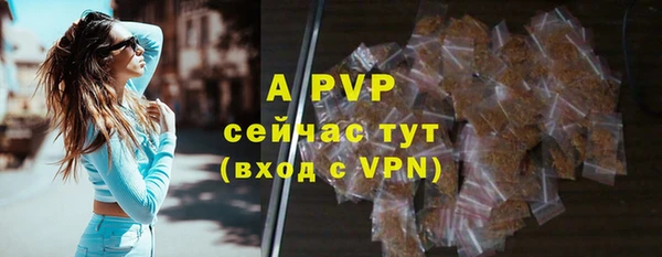 индика Нефтегорск