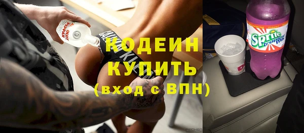 индика Нефтегорск