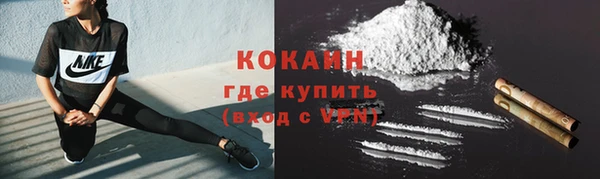 индика Нефтегорск