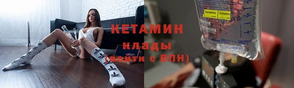 трава Надым