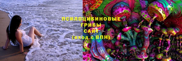 метадон Валдай