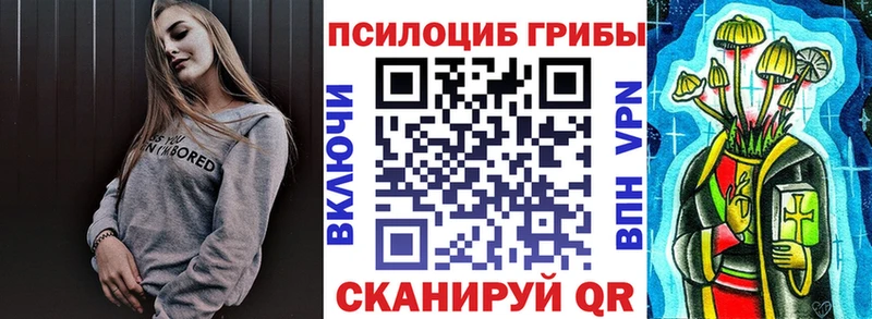 Псилоцибиновые грибы Psilocybe Кодинск